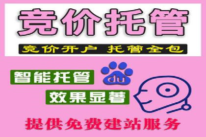 SEM广告案例：优化策略助力品牌知名度提升